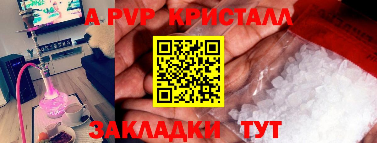 A PVP СК КРИС Сургут