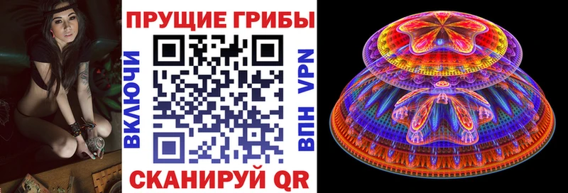 наркошоп  Сургут  гидра ссылки  Псилоцибиновые грибы ЛСД 