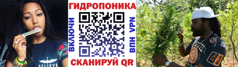 купить наркоту  дарк нет телеграм  Канабис ГИДРОПОН  Сургут 