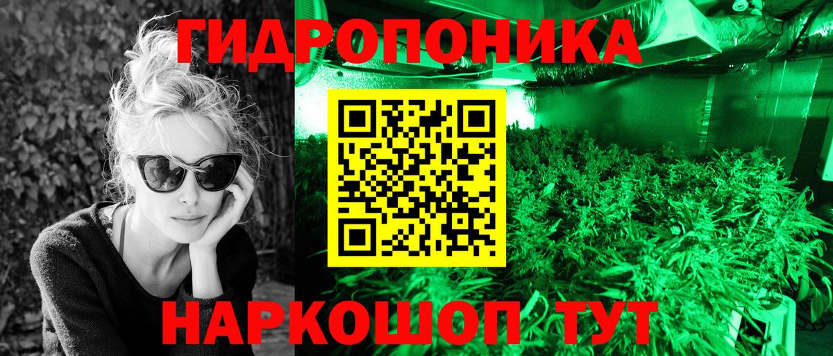 МАРИХУАНА план  Бошки Шишки THC 21%  Вход с VPN  Бошки марихуана план  МАРИХУАНА конопля  Сургут 